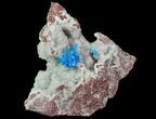 Vibrant Blue Cavansite Cluster on Stilbite - India #67803-1